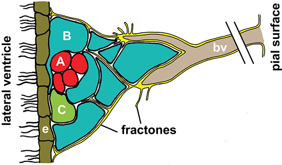 fig03