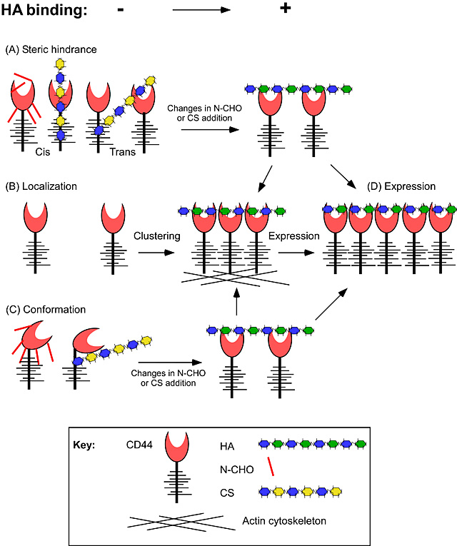 fig01