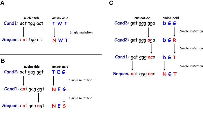 fig3