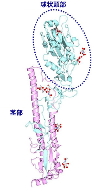 fig1