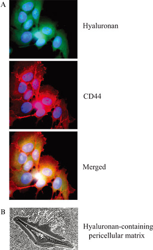 fig01