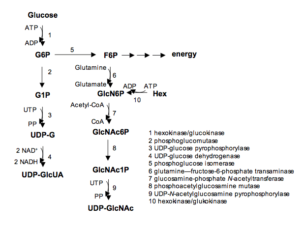 fig01