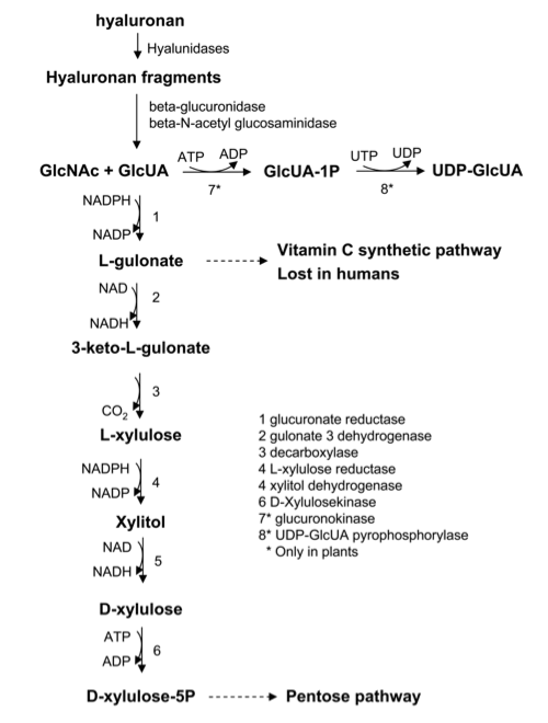 fig02