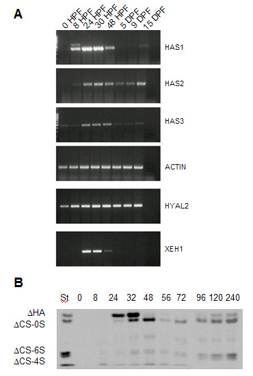 fig04