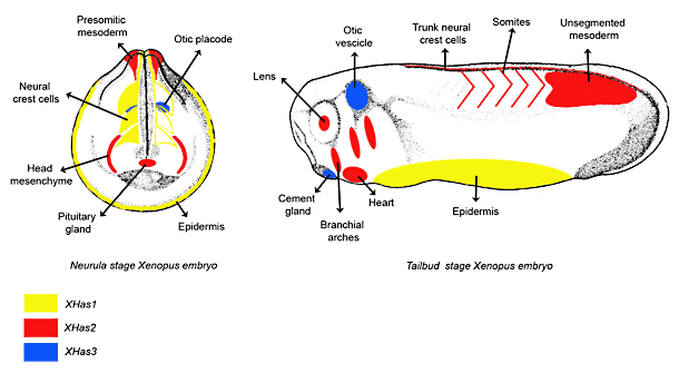 fig05