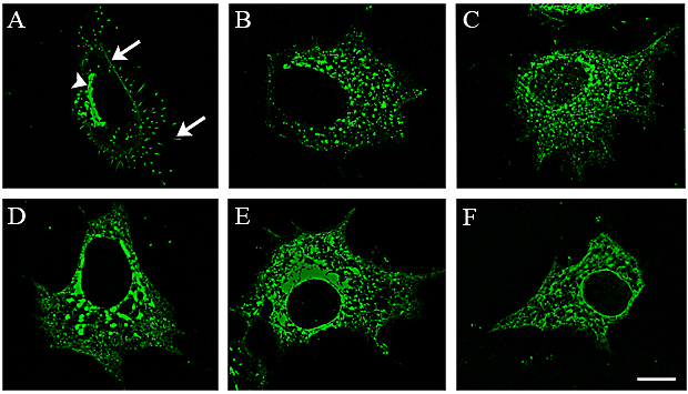 fig01