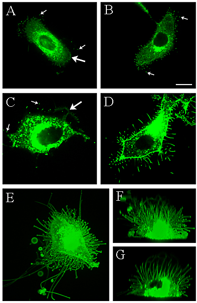 fig02