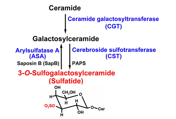 fig1