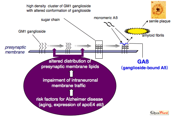 fig1