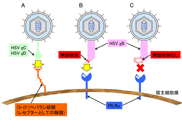 fig3