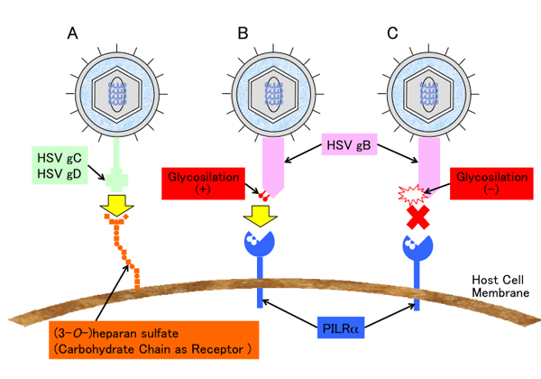 fig3