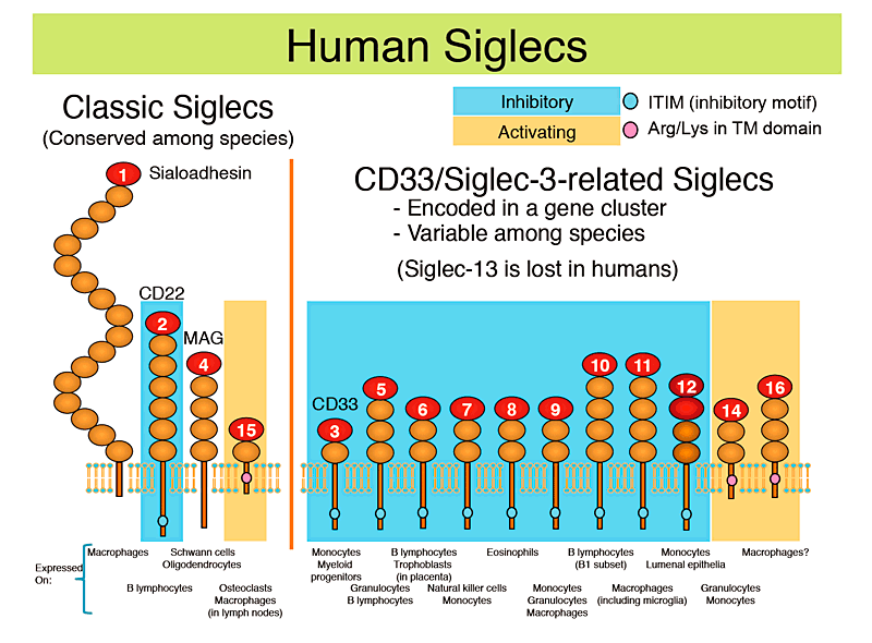 fig1