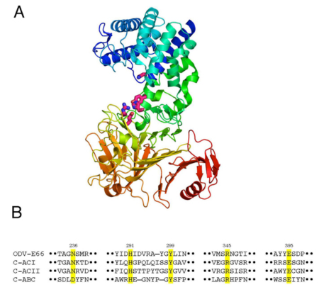 fig4