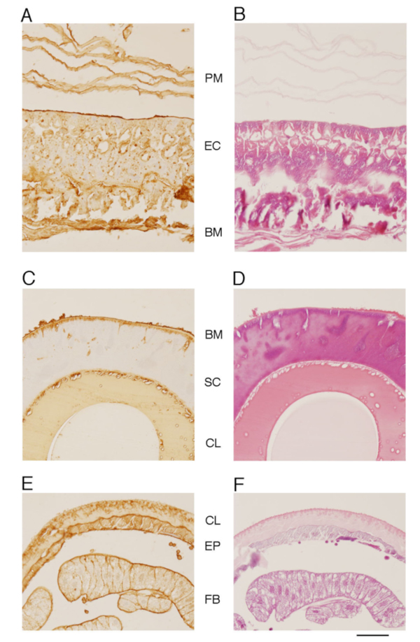 fig8