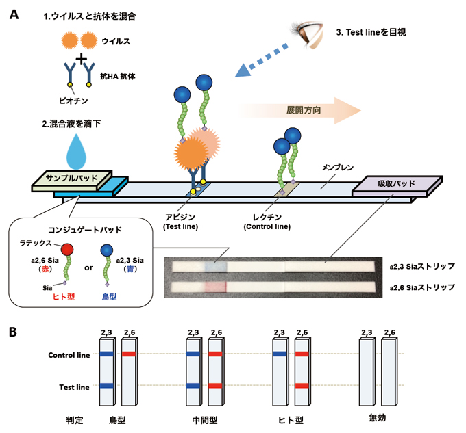 fig3