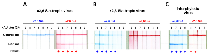 fig4