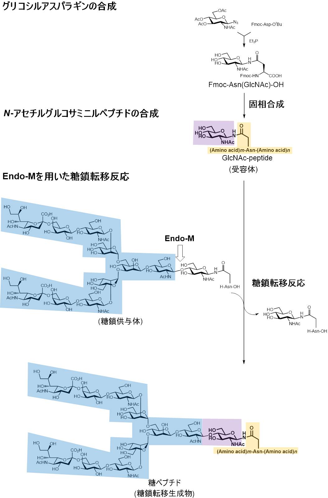 fig1