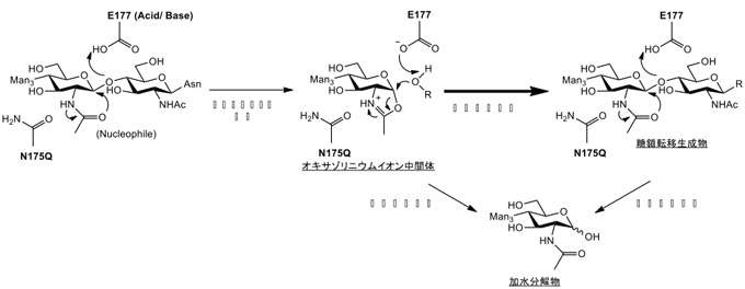 fig2