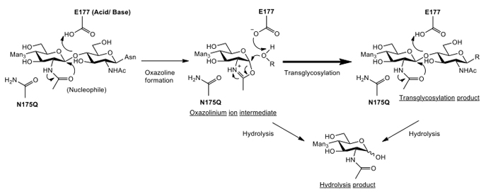 fig2