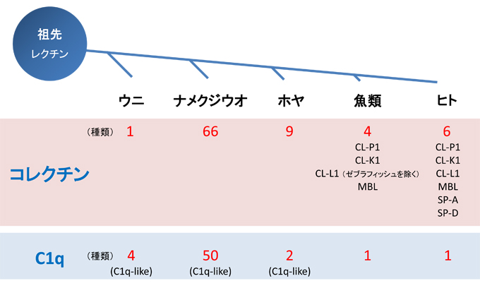 fig2