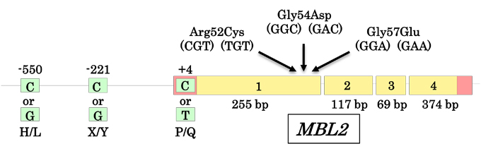 fig4