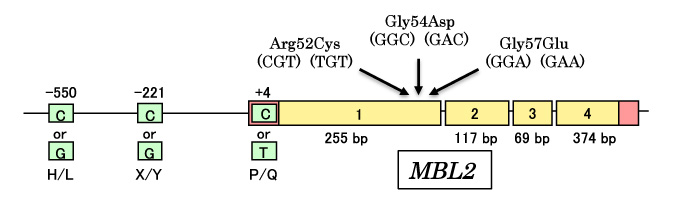 fig4