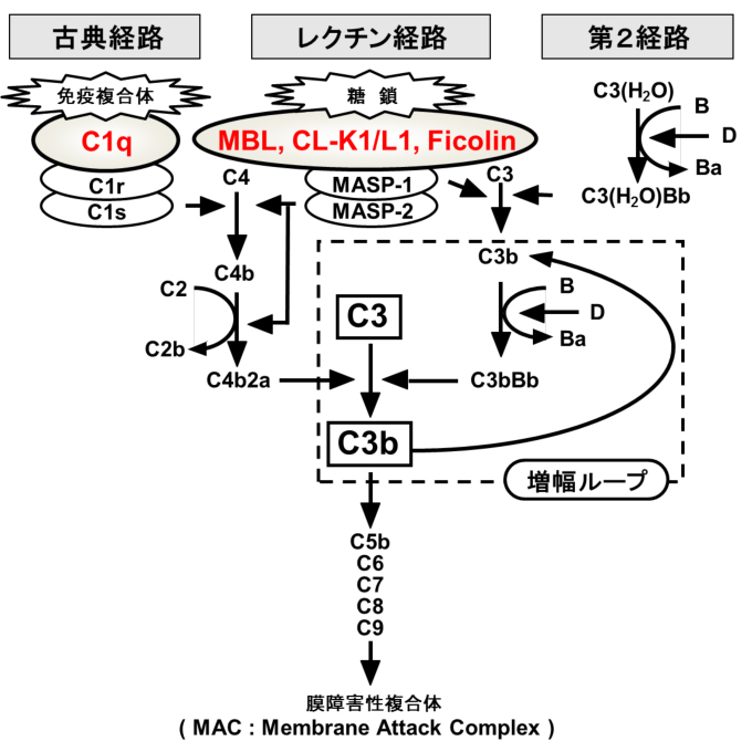 fig6