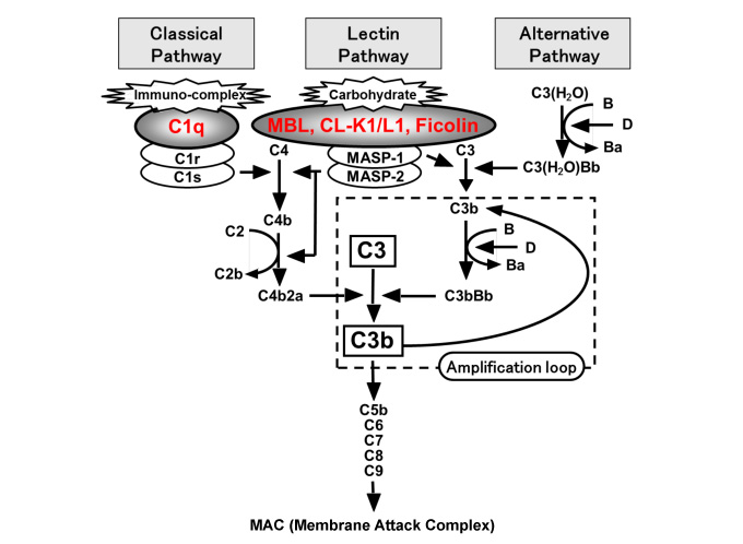 fig6