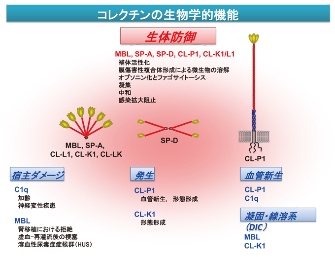 fig8