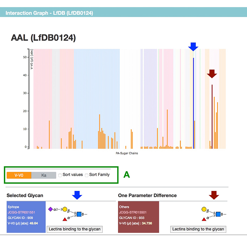 レクチンのデータベースの現状（LfDB, LM-GlycomeAtlas, GlyCosmos 