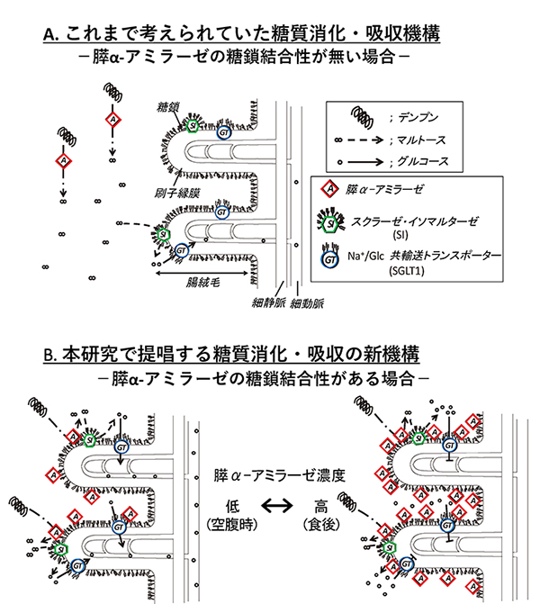 図5