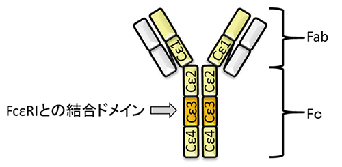 図1