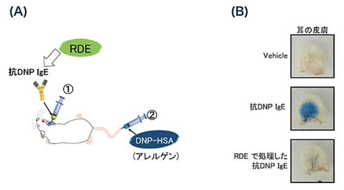 図4