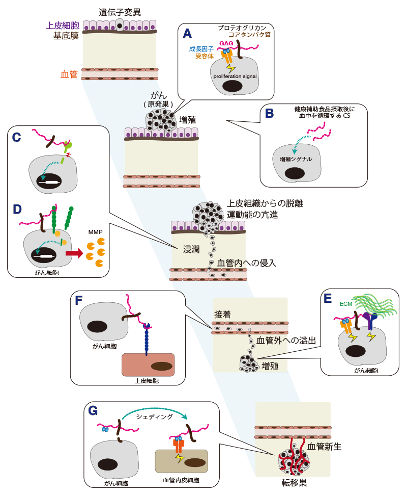 Fig1