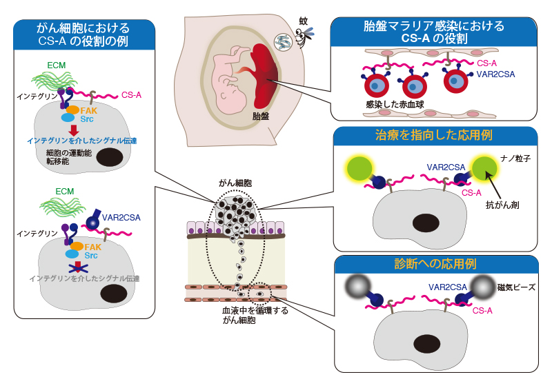 Fig3