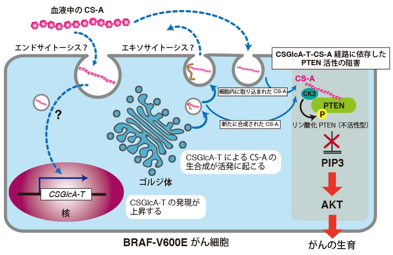 Fig4