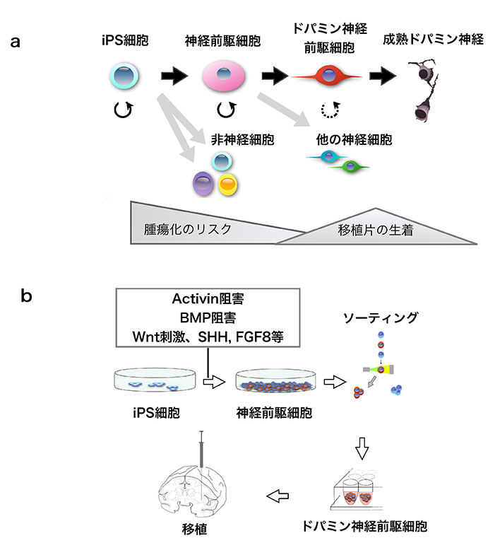 図1