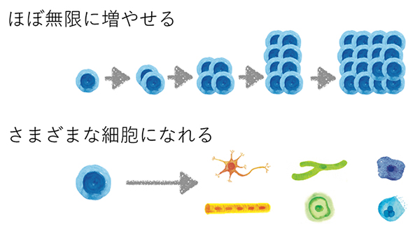 図2