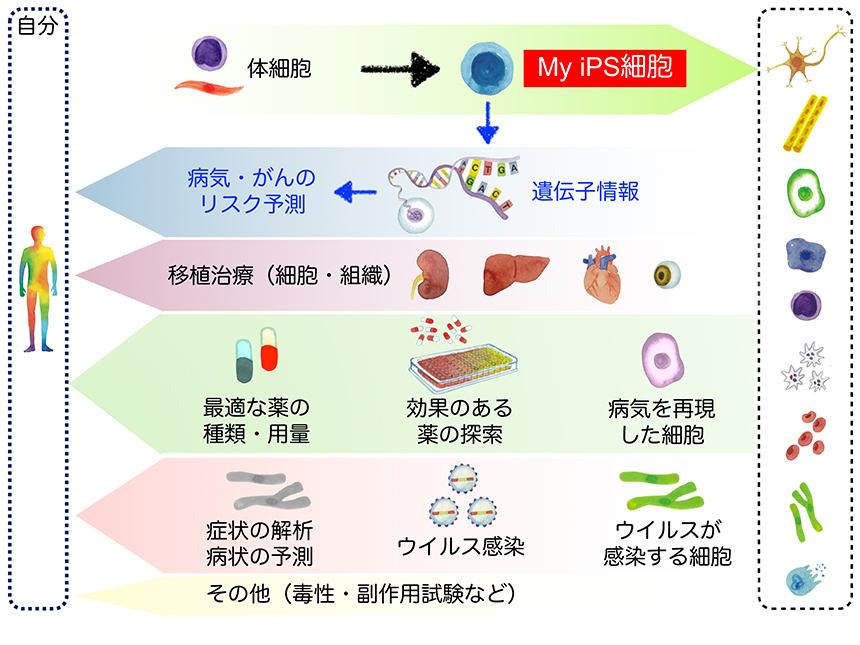 図3