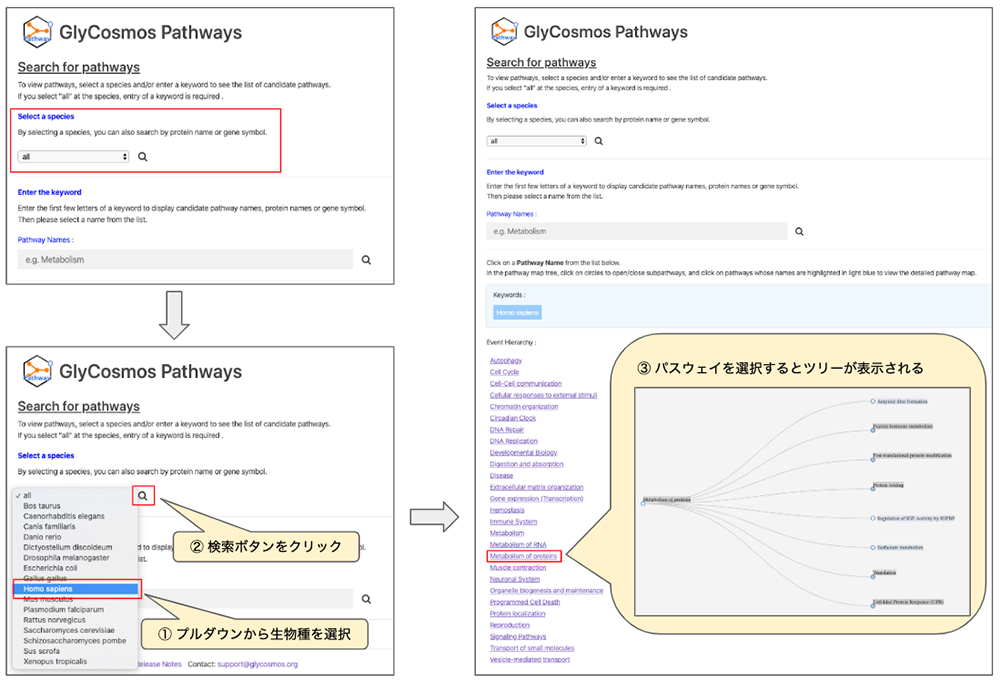 図1