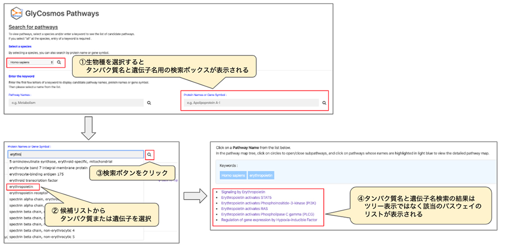 図3