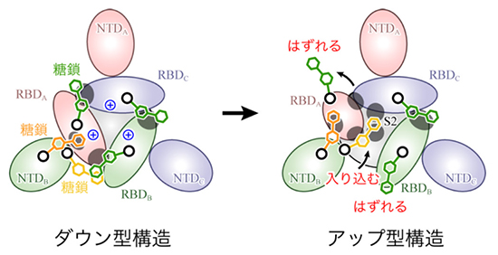 図5