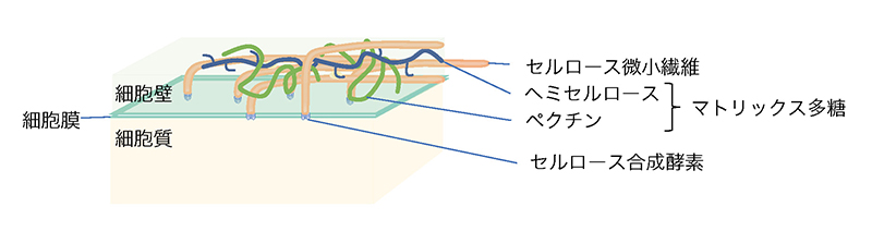 図1