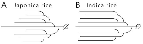 図4