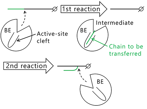 図12