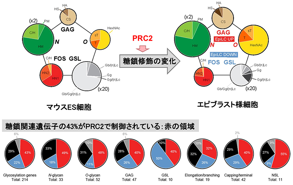 図6