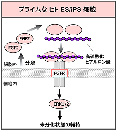 図7