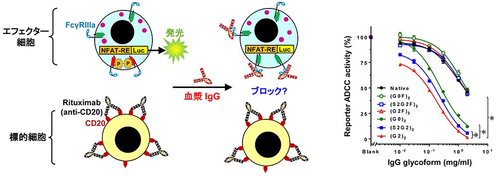 図5