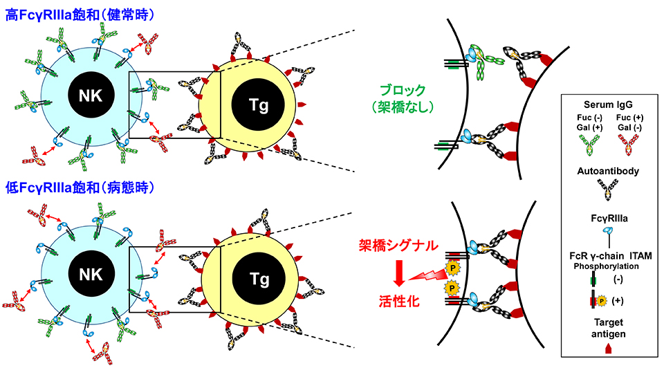 図7