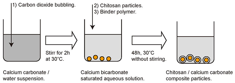海洋バイオマス「キトサン」のバイオミネラリゼーションに倣った有機